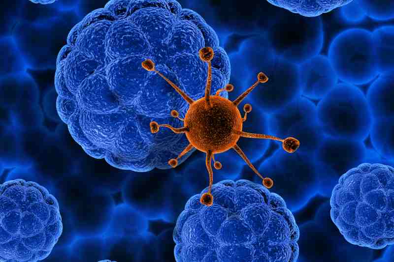 3D representation of the role of stem cell research in future medicine.