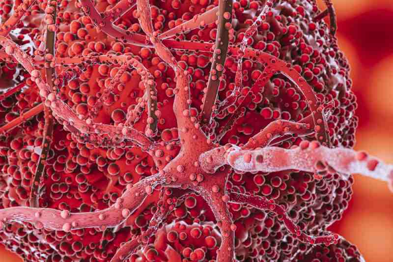 3D representation of a cell illustrating new insights in diabetes research.