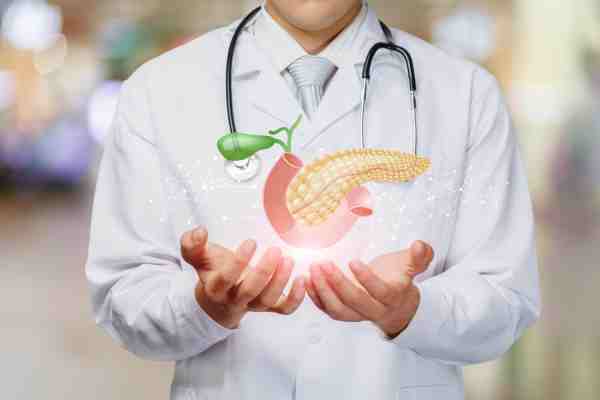 Doctor holding a 3D illustration of a human pancreas, representing pancreatic islet cell transplantation.