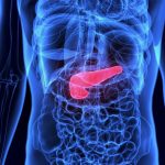 AI software displaying a human liver and pancreas model, highlighting artificial pancreas and automated insulin delivery systems.