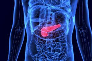 AI software displaying a human liver and pancreas model, highlighting artificial pancreas and automated insulin delivery systems.