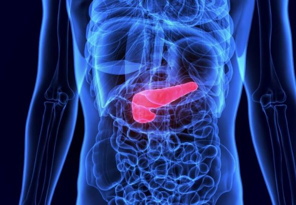 AI software displaying a human liver and pancreas model, highlighting artificial pancreas and automated insulin delivery systems.
