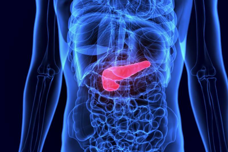 AI software displaying a human liver and pancreas model, highlighting artificial pancreas and automated insulin delivery systems.