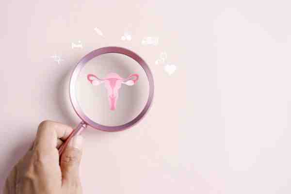 Female reproductive system, highlighting menstrual irregularities and the importance of consultaion a doctor.