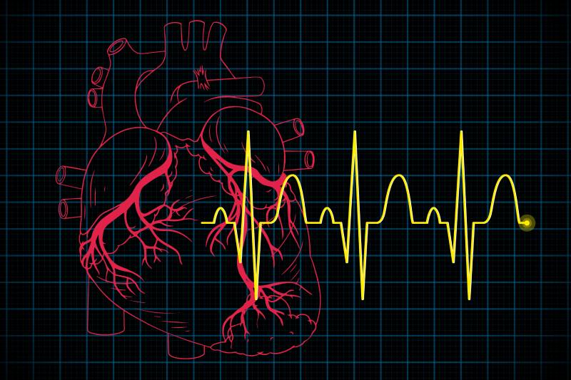 Illustration of a heart with arteries, highlighting heart health monitoring for Men's.
