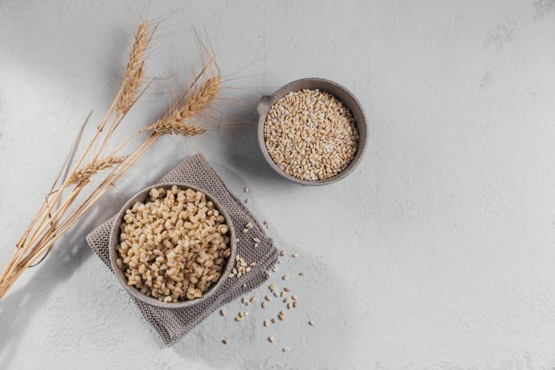 Grains like Ragi and Barley are excellent for managing blood sugar levels because of their high fiber content.