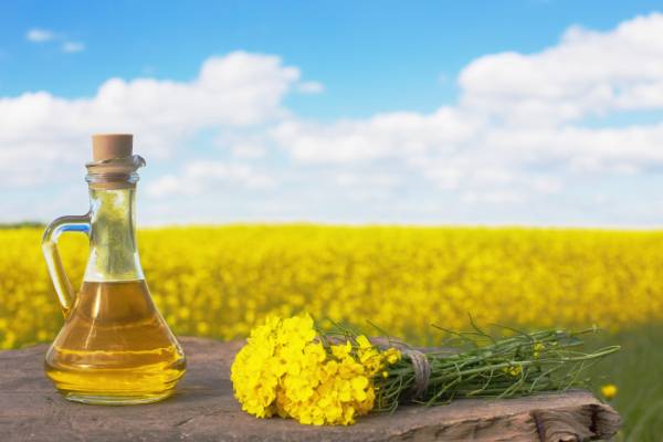 Canola oil is an ideal choice for moderate-heat cooking like sauteing, to its medium smoke point.