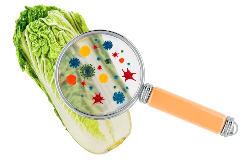 Keeping cooked food at 4°C to 60°C promotes bacterial growth, leading to food poisoning.