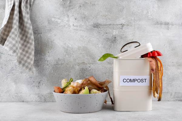 Kitchen scraps in a compost bin, composting is easy, even with a small countertop composter at home.