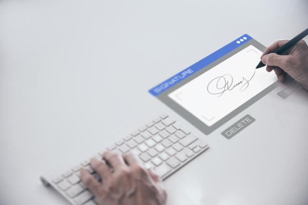 Person digitally signing using a Digital Signature Certificate, required for corporations and LLPs.